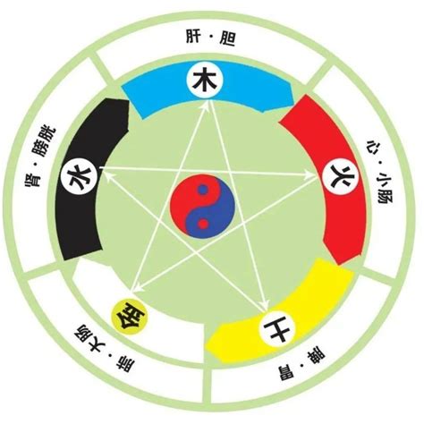 五行個性|【五行人格】五行人格揭密：探掘你的性格色彩，洞悉。